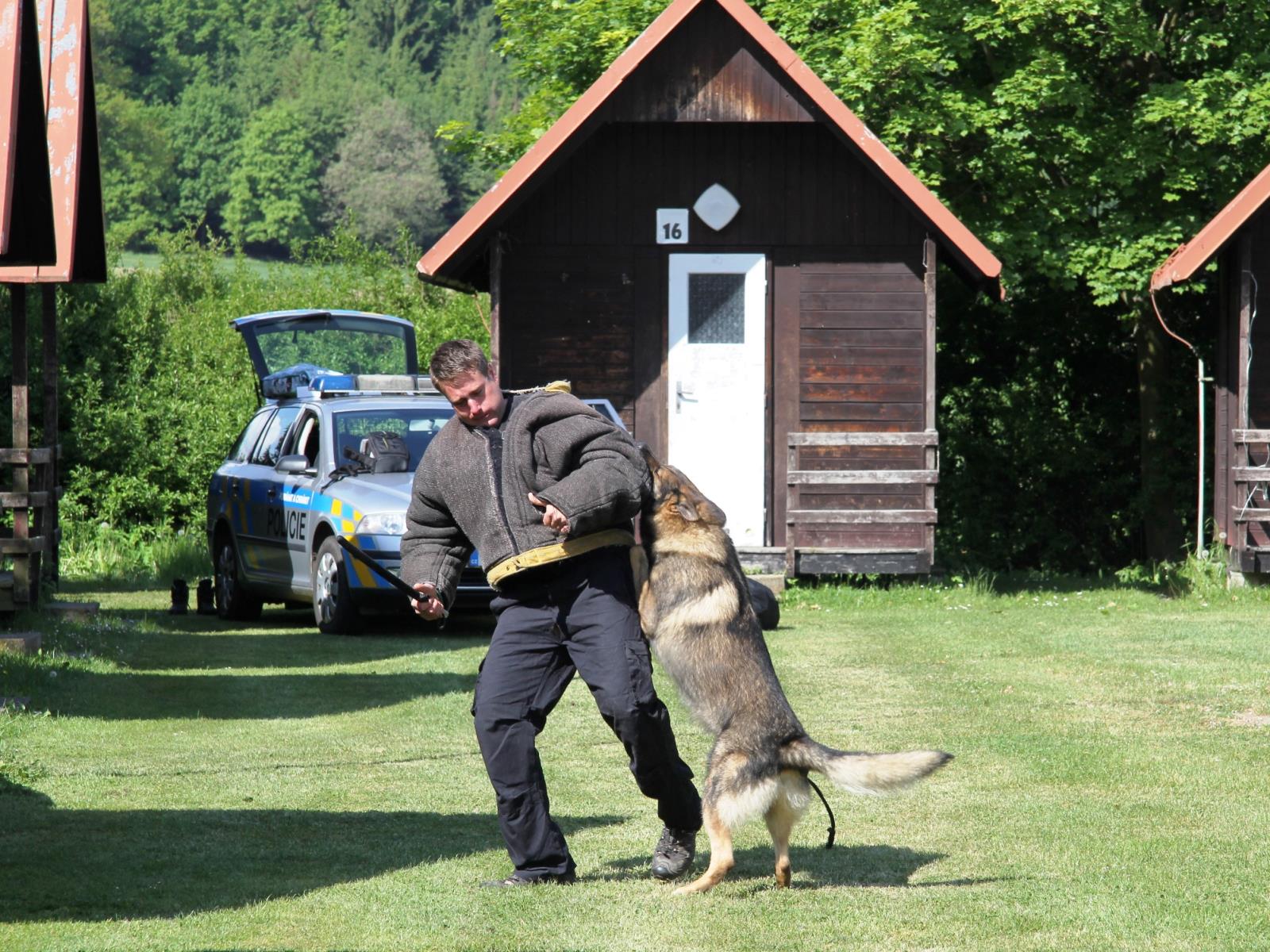 policejní ukázky 26.5.2017