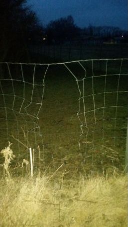 poškozený plot