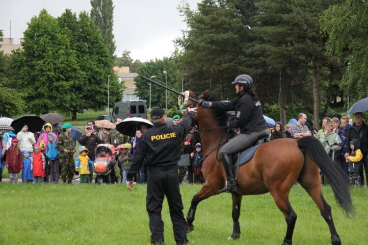 prezentace policejních koní 3