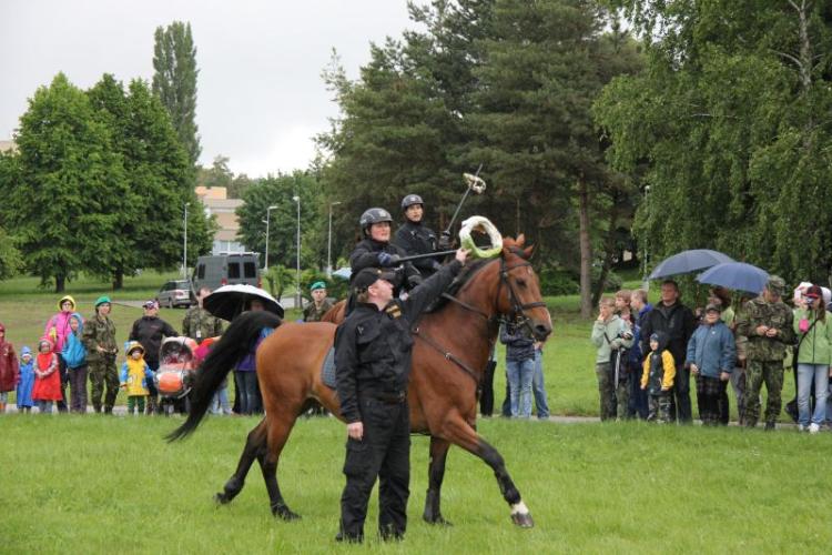 prezentace policejních koní 4