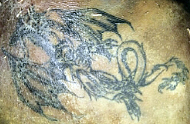 tetování pravá lopatka - drak rozměr 17 x 7,5 cm