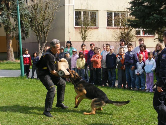 ukázky práce kynologů  na ZŠ, MŠ a praktické škole v JH.jpg