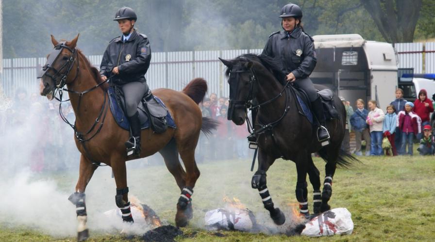 výcvik jízdní policie.jpg