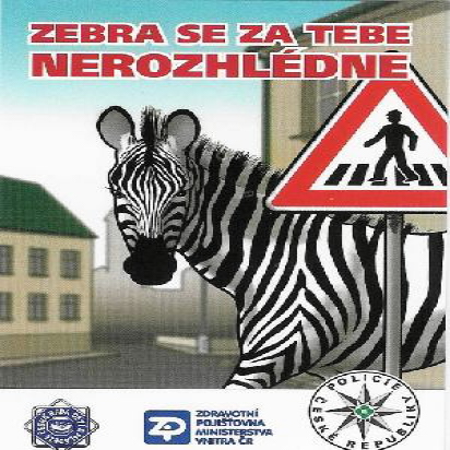 zebra 